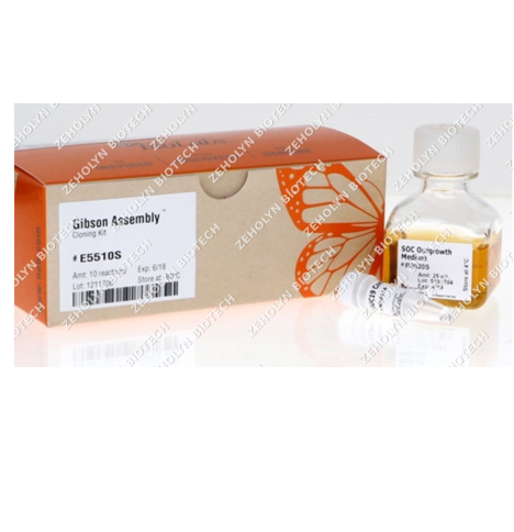 Gibson Assembly Cloning Kit