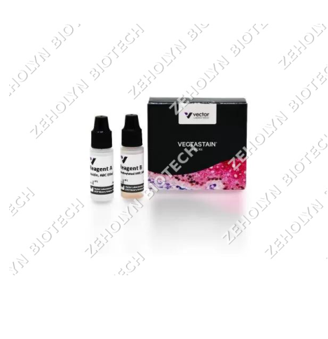 Protein Block Serum-Free
