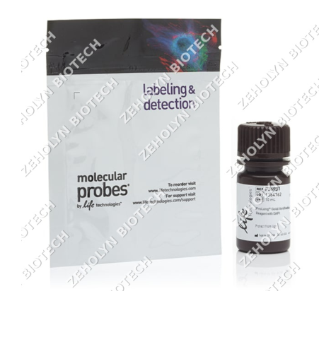 ProLong Gold Antifade Mountant with DAPI