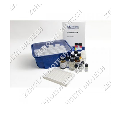 ELISA Wash Buffer (20X)