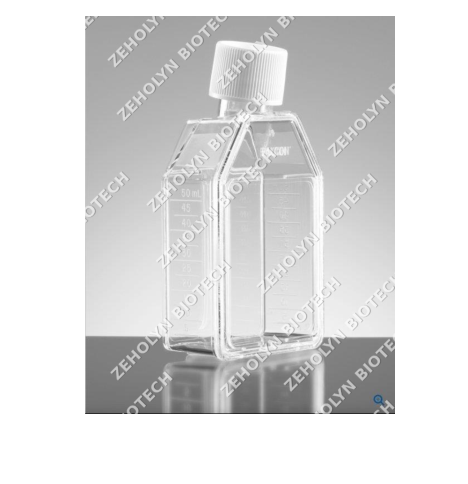 Falcon T75 Cell Culture Flask (Vent Cap)