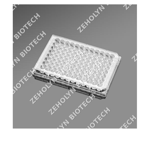 Falcon 96-Well Cell Culture Plate (Flat Bottom)
