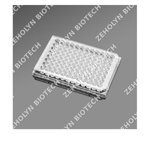 Falcon 24-Well Cell Culture Plate