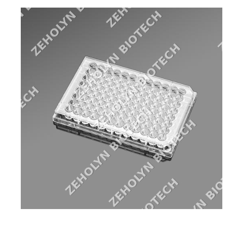 Eppendorf 96-Well Cell Culture Plate