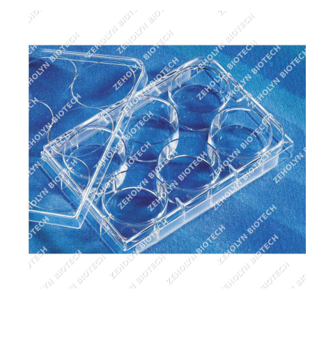 Corning Costar Ultra-Low Attachment 6-Well Plate