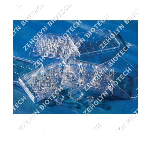 Corning Transwell Inserts (0.4μm)