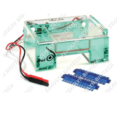 Thermo Fisher Owl EasyCast B1 Mini Gel System
