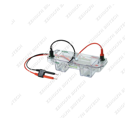 Bio-Rad Mini-Sub Cell GT Cell