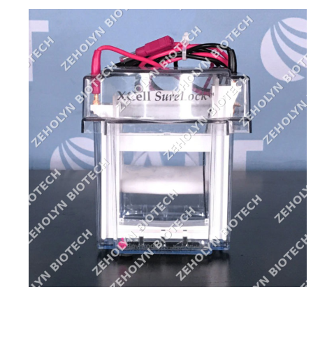 Invitrogen XCell SureLock Mini-Cell