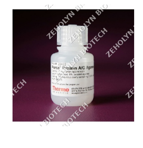 Thermo Fisher Pierce Protein A/G Agarose Resin