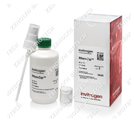 Thermo Fisher RNaseZap RNase Decontamination Solution